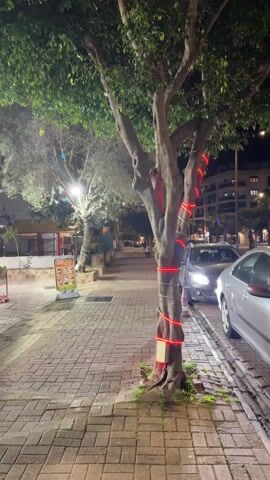 The video shows a tree decorated with LED lights on a city street at night. The lights are wrapped around the trunk in a spiral pattern and change color from blue to purple to green. Two cars are parked on the street next to the tree. A sign advertising food is visible on the sidewalk. The sidewalk is paved with brick. Buildings are visible in the background.