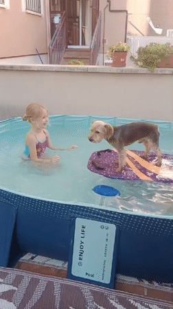 Dog on a float, kid in the pool, summer afternoon in Galapagar