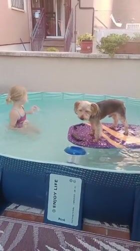 Dog on a float, kid in the pool, summer afternoon in Galapagar