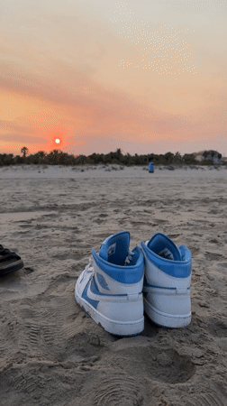 Sunset beach moments in Castelló de la Plana, seagull included.