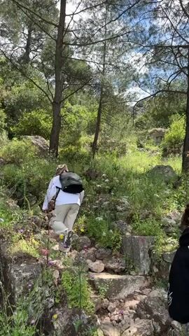 Two people are hiking up a rocky path in a forest. The first person is wearing a white long-sleeved shirt, khaki pants, and a dark backpack. The second person is wearing a black hoodie, bright blue leggings, white socks with stripes, sneakers, and a dark backpack. The path is made of rocks and concrete slabs. There are green plants and wildflowers growing along the path. The forest is dense with trees. The sky is visible through the trees.