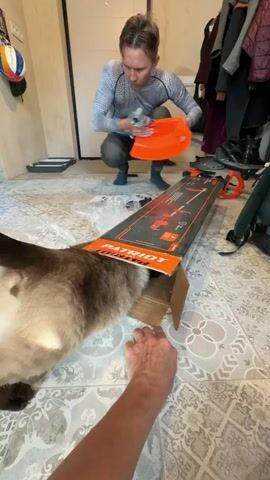 In a well-lit indoor setting, likely a home in Steklyannyi, Russia, a man is engaged in unpacking a new item from a large cardboard box. The box, adorned with the brand name "PATRIOT" in prominent orange lettering, lies open on a patterned floor. The man, wearing a patterned long-sleeved shirt and dark pants, is crouched and appears to be assembling or examining the orange-colored object within the box, which resembles a tool or appliance.

Adding a touch of domestic charm, a fluffy cat is actively involved in the unpacking process, with its hindquarters and tail disappearing into the open box. The cat's playful curiosity is a central element of the scene. A hand, presumably of the person filming, is visible in the foreground, seemingly interacting with the cat or the box.

The background reveals hints of a domestic environment, with coats hanging on a rack and a door. The overall impression is one of an ordinary day, with the mundane activity of unpacking a new purchase enlivened by the cat's antics. The lighting suggests it could be daytime.