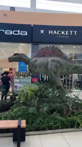 A medium shot shows a life-sized Spinosaurus animatronic exhibit inside a shopping mall. The dinosaur, with a green body and red-accented dorsal sail, stands amidst a display of ferns and leafy plants. In the background, store fronts are visible, including one for "Hackett London". Several people are milling around in the background, looking at the exhibit. The camera is stationary, and the lighting is bright and even.