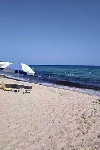 The video shows a sandy beach with the ocean in the background. The sky is clear and blue. There are several beach umbrellas and chairs on the sand. The waves are gentle, and the water is a deep blue with some lighter turquoise patches. There are buoys in the water, marking a swimming area. The scene is peaceful and serene, suggesting a calm day at the beach.