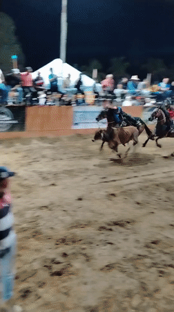 Nighttime vaquejada competition held in Tinaquillo, Venezuela
