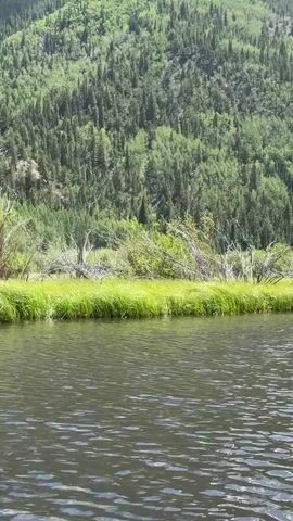 The media file captures a serene outdoor scene with a focus on two young women on a paddleboard in a calm body of water. The background is dominated by a lush, forested mountain slope under a bright blue sky dotted with fluffy white clouds. The water's surface is slightly rippled, reflecting the light and the surrounding greenery. The women are seated on the paddleboard, facing each other. One is wearing a black bikini, and the other appears to be wearing a similar dark bikini. They seem relaxed and engaged in conversation or a shared activity.

The setting suggests a warm, sunny day, likely late morning or early afternoon, given the brightness of the sunlight and the clear sky. The dense evergreen forest covering the mountain indicates a mountainous or high-altitude region, consistent with the location context of Nathrop, United States, which is known for its scenic mountain landscapes. The overall mood is peaceful and tranquil, evoking a sense of leisure and enjoyment of nature. There is no visible text in the media file.