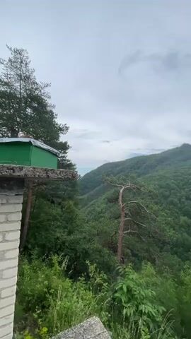 The video pans across a lush, mountainous landscape covered in dense green foliage. In the foreground, to the left, a portion of a white brick structure is visible, topped with a green roofed structure. A lone, crooked pine tree stands prominently amidst the greenery, its branches reaching out. The sky is overcast with a light gray hue. The video appears to be taken from an elevated vantage point, offering a panoramic view of the valleys and hills.