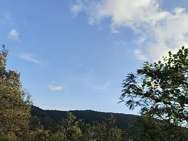 A shot of a landscape with trees and hills under a blue sky with clouds. The camera seems to be moving slightly, but no people or animals are visible.