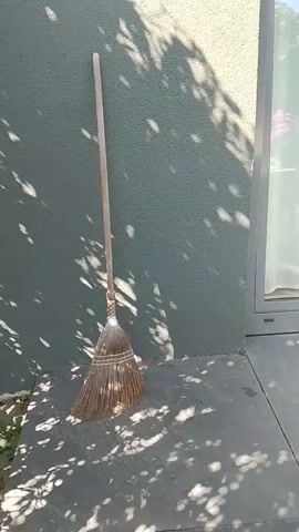 The video begins with a close-up shot of a broom leaning against a wall, casting a shadow on the ground. The camera then pans to the right, revealing a glass door with white curtains and a wooden table set up on a patio. The table has a potted plant with pink and white flowers, a small black lamp, a white mug, and a green plastic bottle. The sun is shining, creating dappled shadows from the trees overhead on the wall and the patio. The scene appears to be an outdoor seating area.