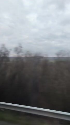The video shows a view from a moving vehicle, likely a car or train, driving alongside a highway or road. A silver guardrail is visible in the foreground along with green grass. Beyond the guardrail, the landscape consists of a blurred stretch of trees and bushes, followed by open fields and hills in the distance. The sky is overcast with grey clouds, suggesting a cloudy or possibly rainy day. The overall impression is of a rural landscape viewed from a moving vehicle on a gloomy day.