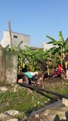 The video shows three individuals working in an outdoor area with a clear blue sky. The ground appears to be disturbed earth, with some vegetation including banana trees in the background. The individuals are engaged in manual labor, using tools that resemble shovels and possibly hoes. One person is wearing a red shirt and a head covering, another is in a teal-colored shirt and a white head covering, and the third person is wearing a dark hoodie and shorts. They are spread out across the work area, suggesting they are involved in a collective task such as digging or clearing. The environment seems to be a semi-rural or suburban setting, with a building visible in the background.