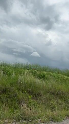 The video shows a hill covered in green grass with red poppies. There are also some small white flowers scattered throughout the grass. A small bush appears briefly. The sky is overcast with dark gray clouds. The camera is panning slowly, showing the hill and the sky. Someone is speaking in the background.
