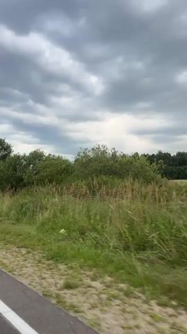 The video shows a fast-moving point-of-view shot of a rural landscape. The camera is positioned low, likely from a vehicle, and captures a blur of green grass and trees passing by. The sky is overcast with dramatic, dark clouds. The scene appears to be from a drive on a road, with a white line visible on the left edge of the frame in some shots. The overall impression is one of motion and an approaching storm.