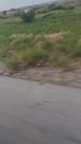 The video shows a blurred landscape viewed from a moving vehicle. The foreground is a dusty or gravelly surface, with streaks of dry vegetation. Beyond that, there is a field of green grass and some bushes. In the distance, there are a few small buildings and utility poles. The sky is overcast with muted colors. The motion blur indicates the camera is moving horizontally at a moderate speed. The overall impression is that of a rural or semi-rural environment viewed from a car or train window.