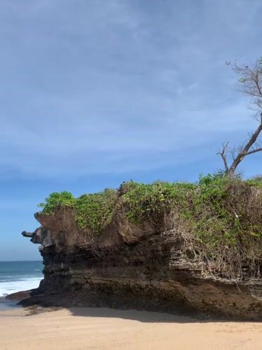 Rugged Indonesian coastline explored from cliff to shore