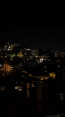 Bosphorus nights: wine, cigarettes, and Istanbul glowing after dark