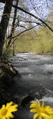 Spring river flows rapidly through Medoveevka forest, Russia