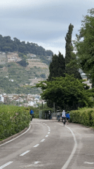 Spring blooms captured along Sanremo pathway