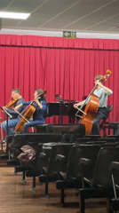 String ensemble performs in Barcelona auditorium