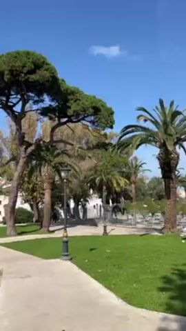 The camera pans up from a park path, with manicured lawns, trees, and classic lamp posts, towards a cityscape under a clear blue sky with a few light clouds. The most prominent tree in the foreground is a tall evergreen with a dense, flat crown. Several palm trees are also visible. Beyond the park, white buildings and red-roofed structures of the city are partially visible. There are no people in the frame.