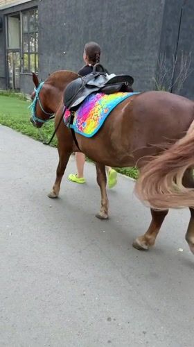 Summer morning at a Yekaterinburg park: horses, rides, and fountains