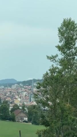 The video shows a view of a town from a distance, partially obscured by trees. In the foreground, there are several large trees with green leaves. Beyond the trees, a town with buildings, including houses and a taller structure, is visible. In the far background, a forest of tall, slender trees is seen on a hillside. The sky is overcast with a light blue-gray color. The camera appears to be moving, panning from left to right. There are no people or animals visible in the video.