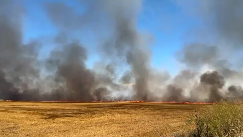 A wide shot captures a field fire under a clear blue sky with sparse white clouds. Thick plumes of black and gray smoke billow upwards and spread across the horizon, obscuring the sky in the distance. The fire itself is visible as a line of orange flames at the base of the smoke columns, stretching across the dry, golden field. The field appears to be harvested stubble, with scattered dry grasses and vegetation along the right side of the frame. A paved road runs along the right edge of the field. Two cars, a green sedan and a dark-colored hatchback, are parked on the shoulder of the road, with their headlights visible. The scene suggests a rural or agricultural setting experiencing a significant vegetation fire.