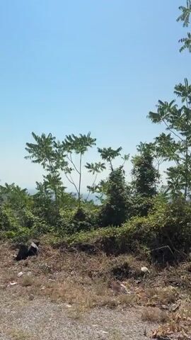 The video is a landscape view from a moving vehicle, likely a car, looking out over a mountainous and forested area under a clear blue sky. A metal guardrail is visible in the foreground, indicating the perspective is from a road or viewpoint. The terrain is characterized by rolling hills covered in dense green foliage, with some trees closer to the viewpoint. In the distance, several layers of mountains can be seen, fading into a hazy horizon. The overall impression is one of natural beauty and a serene, expansive vista.