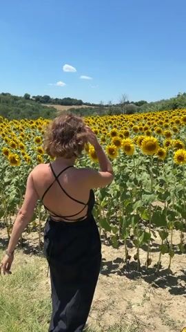 A woman with curly brown hair stands in a field of sunflowers under a clear blue sky. She is wearing a black dress with thin straps that form a crisscross pattern on her back. Her arms are raised, and she is touching her hair or head. The sunflowers are tall and in full bloom, stretching as far as the eye can see in the background. Hills covered in green vegetation are visible in the distance. The ground in the foreground is dry and covered with some dry grass. The woman is facing away from the camera initially, then turns to face it.