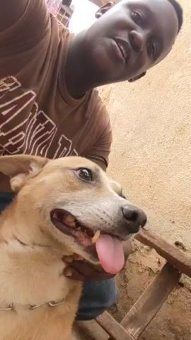A young man smiles while holding a dog up towards the camera. The man wears a brown T-shirt and has dark skin. The dog has tan and white fur and its tongue is hanging out of its mouth. The man's hand is around the dog's neck. The background is an exterior wall and some objects are out of focus. The man appears to be in a happy mood.