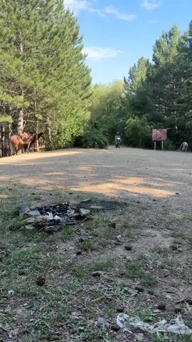A dirt clearing in a wooded area is shown. Two horses stand to the left. A person on a scooter rides into the clearing from the background. Another person is visible to the right in the background. A fire pit is in the foreground. Trees and foliage surround the clearing. The sky is visible above.