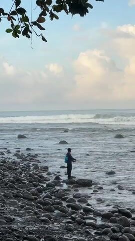 A young person is fishing on a rocky beach on a cloudy day. The waves are moderate. A blue backpack is on the individual's back. Tree branches and leaves are visible in the upper left corner of the frame.