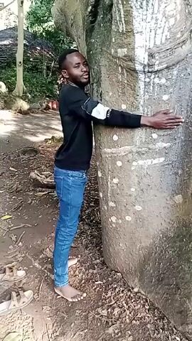 A barefoot man in jeans and a black sweatshirt stands facing a large, gray tree trunk and leans toward it, with his palms pressed against the tree's surface.  His feet are just visible in the foreground, near two tan sandals. The ground is covered in dry leaves and dirt. Behind the tree, there is a glimpse of a wooden fence, lush greenery, and other trees. The man looks off to the side with a smile.