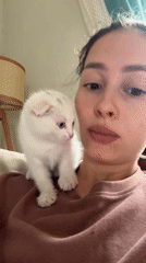Woman and cats share quiet morning moments in Yekaterinburg