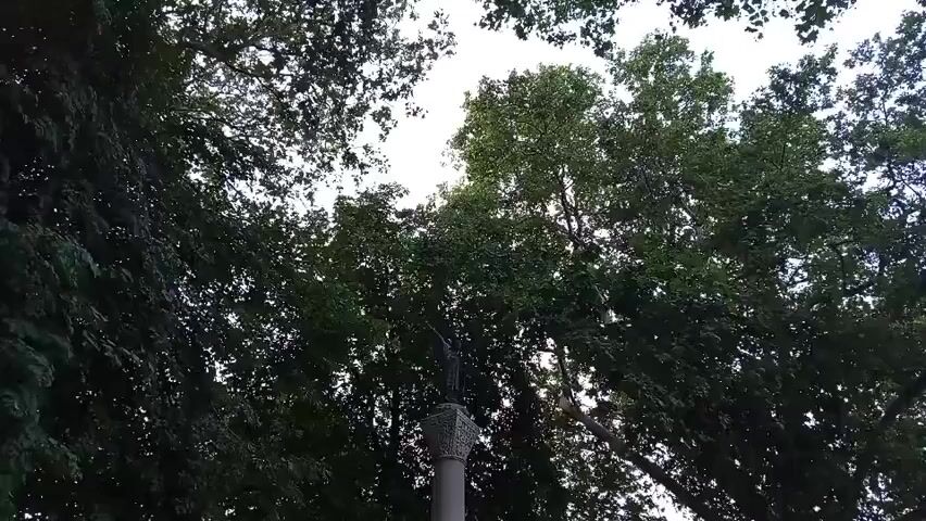 A statue stands atop a column, partially obscured by the dense foliage of trees. The sky above is overcast. The scene suggests an outdoor setting, possibly a park or a historical site, with a focus on the monument amidst nature.