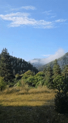 A quiet morning in Abastumani's forested mountain landscape