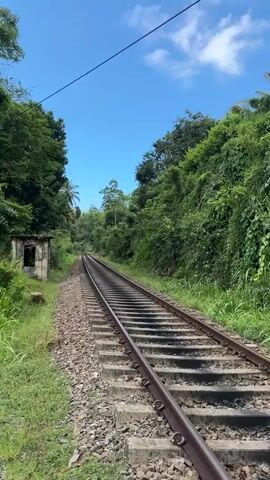 The video shows a railroad track running through a lush green landscape. At first, the tracks are surrounded by vegetation, with a small concrete structure visible to the left. As the video progresses, the view changes to show the tracks crossing a road. A railroad crossing signal is present, with a striped barrier pole in the raised position. The sky transitions from sunny and blue to overcast and gray. The surrounding area has tropical vegetation.