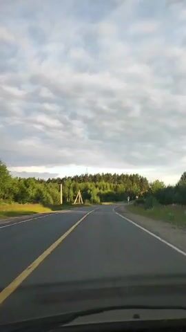 A POV video shows a car driving on a paved road. The road is surrounded by green trees and a cloudy sky. There are power lines and a few signs along the road.