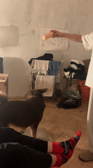Woman trains dog with spinning command in Moscow home