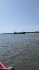Cargo ships moving along the Ukrainian Danube on a clear morning