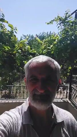A man with gray hair and a beard is filmed in a selfie video. He is wearing a light-colored polo shirt and smiling at the camera. He is standing outdoors, with a lush green vine overhead and trees in the background. The video captures him from the chest up.
