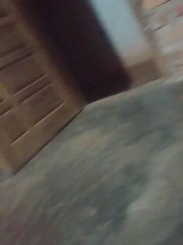 The video begins with a close-up shot of an orange tabby cat lying on its back. A person's hand is visible in the upper right corner, holding a small red object. The cat appears to be struggling or reacting to something. The camera then pans and zooms out, revealing more of the environment. The cat is on a dark, textured surface, possibly a rug or mat, with a brick wall visible to the left and a hint of a red patterned fabric. The cat rolls over, showing its belly. The camera continues to move, focusing on the cat's underside. It then transitions to a shot of the cat standing and sniffing a white comb lying on the same dark surface. The lighting is dim, creating shadows.