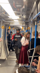 Routine afternoon ride through Moscow's Nekrasovskaya Metro line