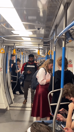 Routine afternoon ride through Moscow's Nekrasovskaya Metro line
