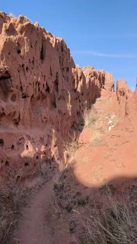 A person in light-colored clothing and a hat stands on a narrow dirt path, flanked by impressive red rock formations. The rock walls are tall and rugged, featuring numerous natural cavities or holes, suggesting erosion over time. Dry grass and sparse bushes line the path and the base of the rock formations. The sky above is a clear, bright blue, indicating sunny weather. The scene depicts a natural, arid landscape, likely a canyon or geological park, with the individual appearing to be exploring the area. There is no visible text.