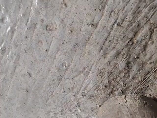 The video captures a close-up, static shot of a muddy surface. The mud is a light brown or beige color and appears somewhat wet and glistening in some areas. There are numerous indentations and marks visible within the mud. These include small circular depressions, possibly air bubbles or imprints, and a series of parallel, linear scratches or grooves. Some of these scratches are deep and appear to be etched into the surface, while others are finer. Towards the right side of the frame, there is a rough, textured object partially visible, which appears to be made of wood or a similar natural material. This object is darker in color and has a rough, irregular surface. The lighting suggests an indoor or shaded environment, as there are no strong shadows or bright highlights. The focus is on the texture and marks within the mud, indicating a potential interest in the details of the surface.