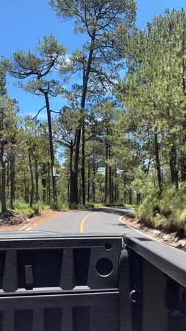 The video shows a view from the bed of a pickup truck driving on a paved road through a pine forest. The road curves to the left, and there is a yellow line down the center. The trees are tall and densely packed, with some sunlight filtering through the branches. The sky is blue with a few scattered clouds. There is a yellow traffic sign on the side of the road indicating a curve to the right. The truck bed is visible in the foreground, showing a black plastic liner with some circular indentations and a hook. The overall impression is of a scenic drive through a natural environment.