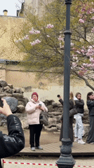 Cherry blossoms draw crowds in Saint Petersburg parks
