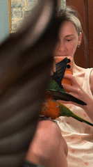 Pet owner documents animals in home videos across Khimki