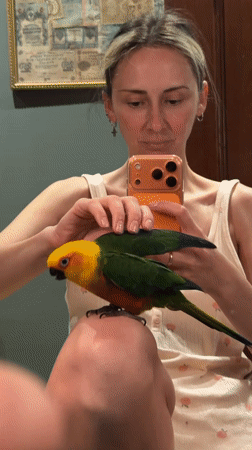 Pet owner documents animals in home videos across Khimki